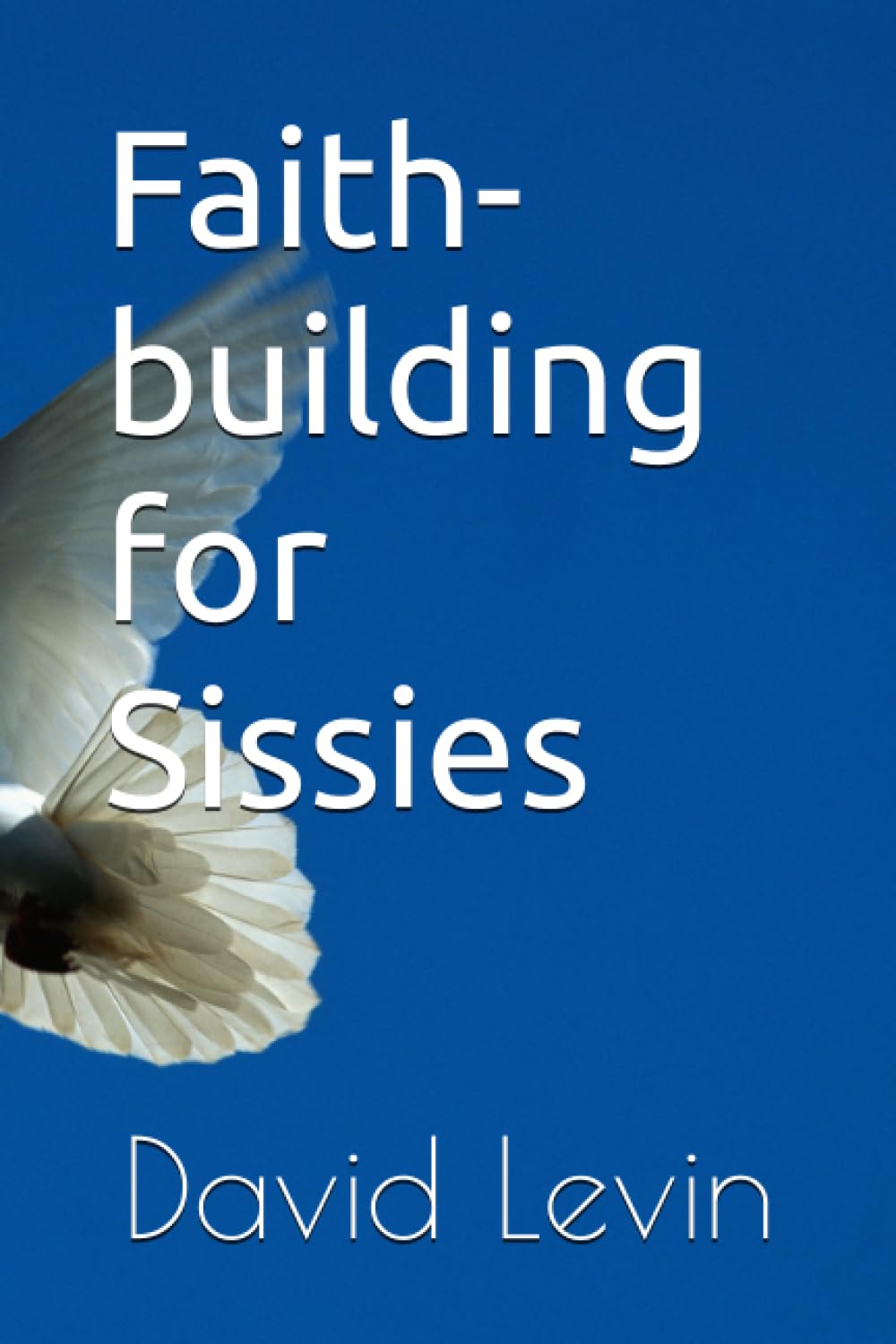Faith-building for Sissies by David Levin